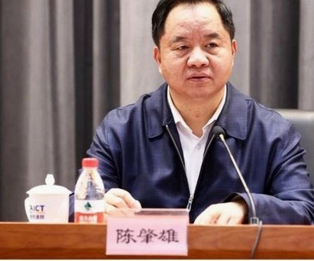 新鹏城总监怒告集团：你过度干预主帅战术！